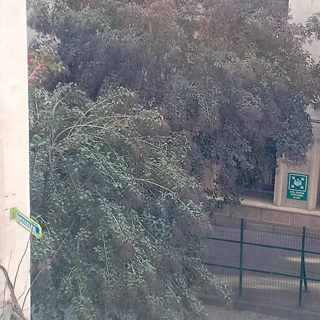 Lejlighed Alha